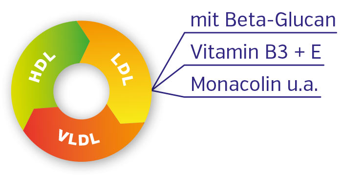 Kapseln mit Beta-Glukan, Vitamin B3, E und Monacolin, bunte Darstellung des Cholesterinprofils
