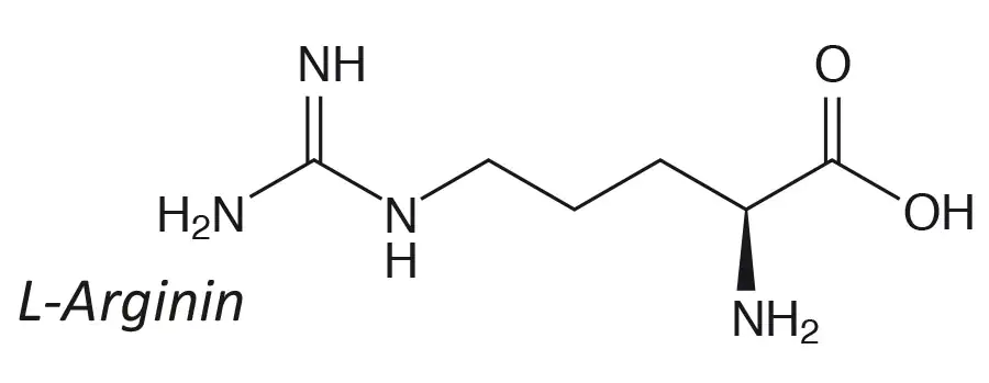 Strukturformel von L-Arginin, einfarbige Darstellung, chemische Bindungen und Gruppen sichtbar.