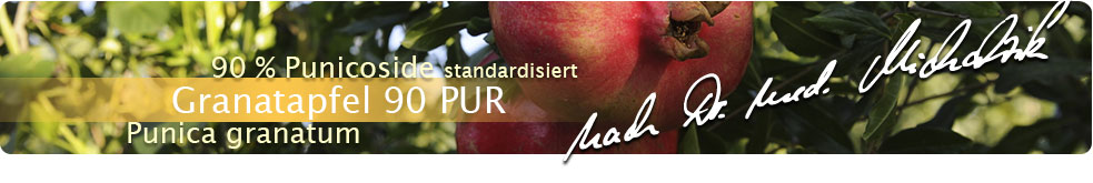 Granatäpple