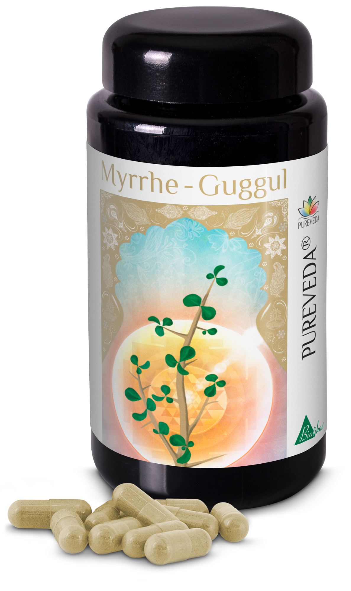 Myrrhe-Guggul – Kapseln Flasche mit Myrrhe-Guggul Kapseln, grüne Kapseln, 100 Stück, auf weißem Hintergrund.