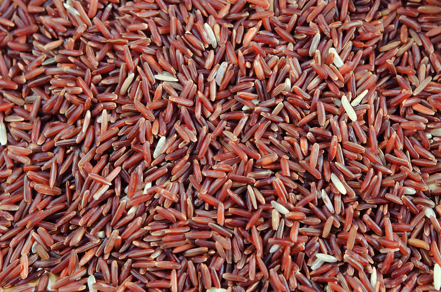 Roter Reis in einer Nahaufnahme, natürliche Farben, ungeschält, 500 g.