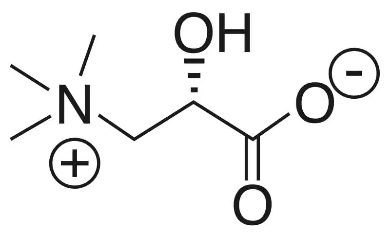 Chemische Strukturformel der Aminosäure Glycin mit Atomen und Bindungen.