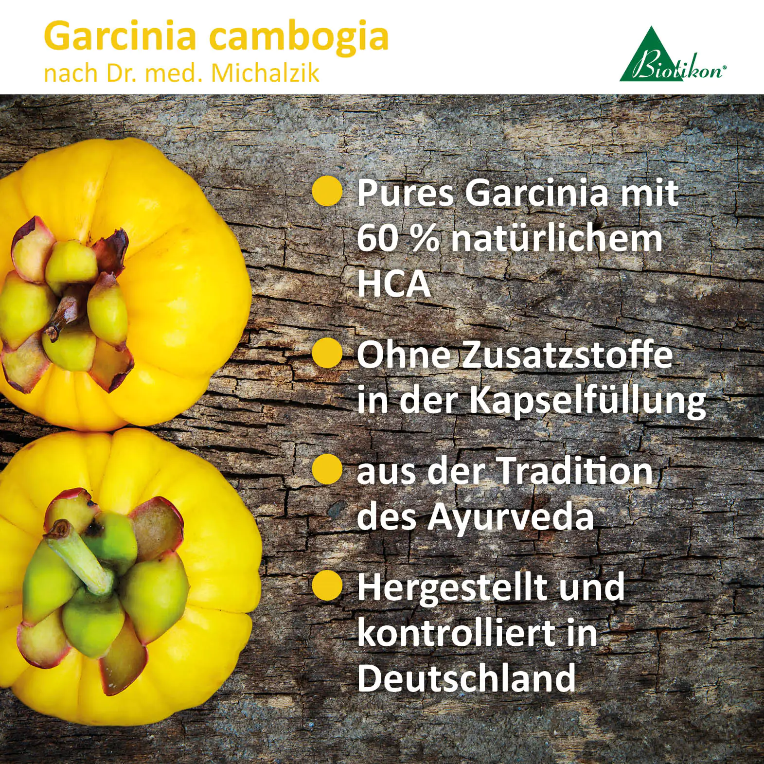 Garcinia cambogia Früchte auf Holzuntergrund, leuchtend gelb, zur Verwendung in Kapseln.
