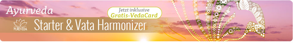 Starter + Vata-harmonisator