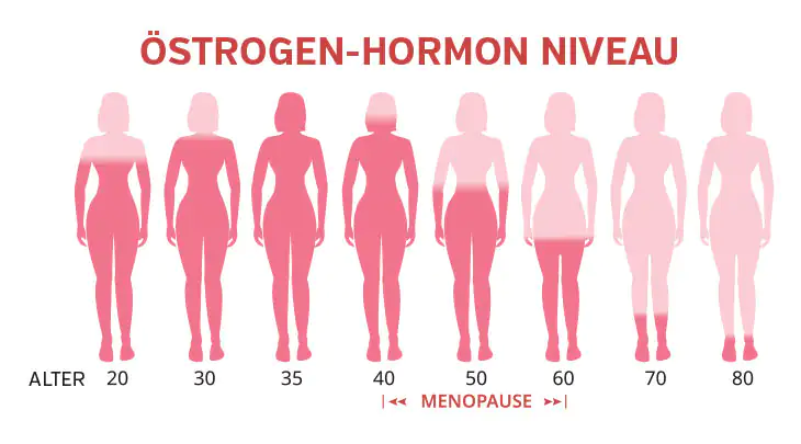 Illustration zeigt den Östrogen-Hormon Niveau in verschiedenen Altersstufen, von 20 bis 80 Jahren.