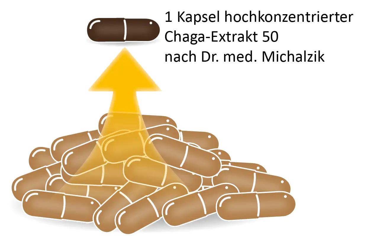 Eine Kapsel hochkonzentrierter Chaga-Extrakt auf einem Haufen brauner Kapseln, sichtbare Struktur und Farbe.