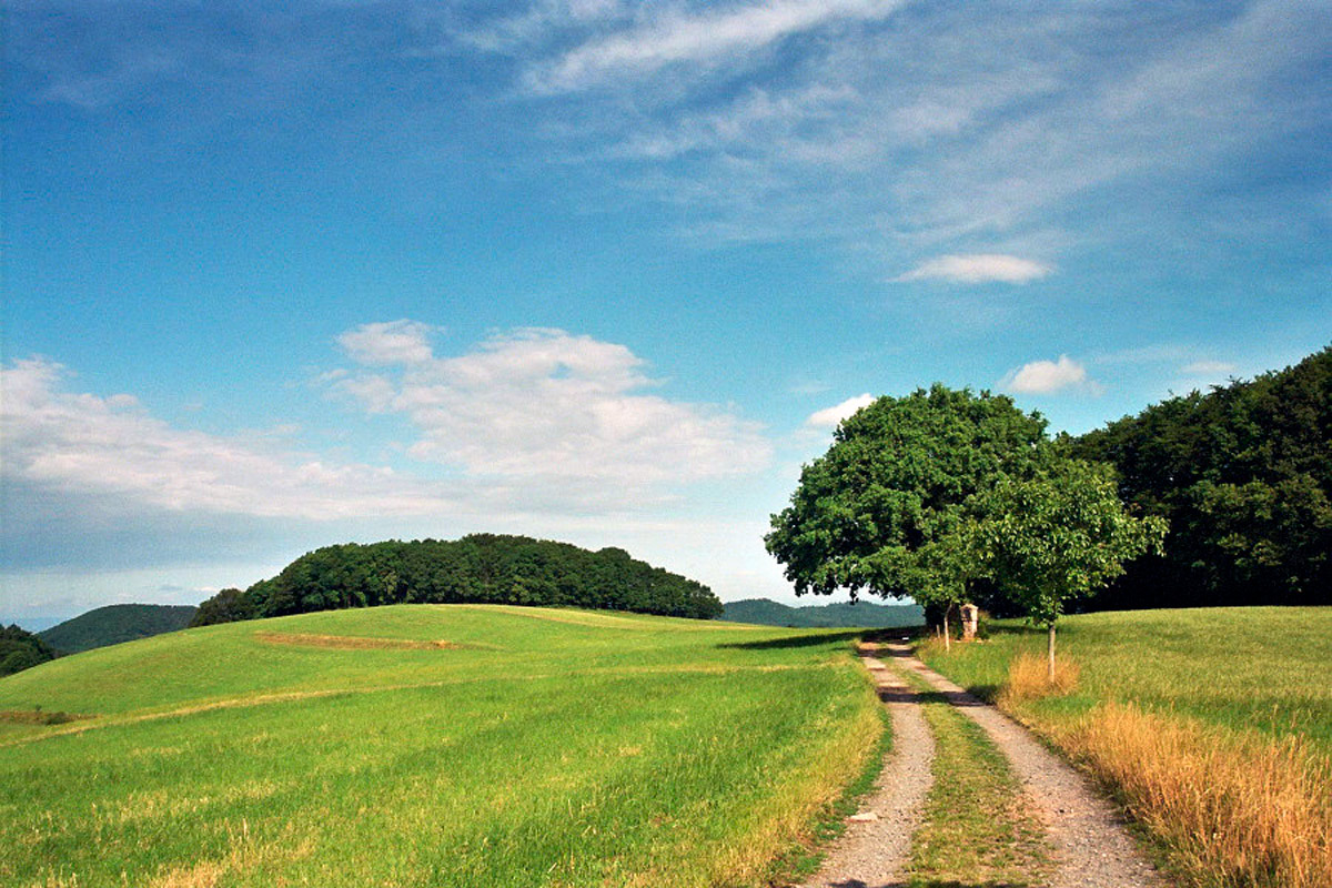 Odenwald Odenwald