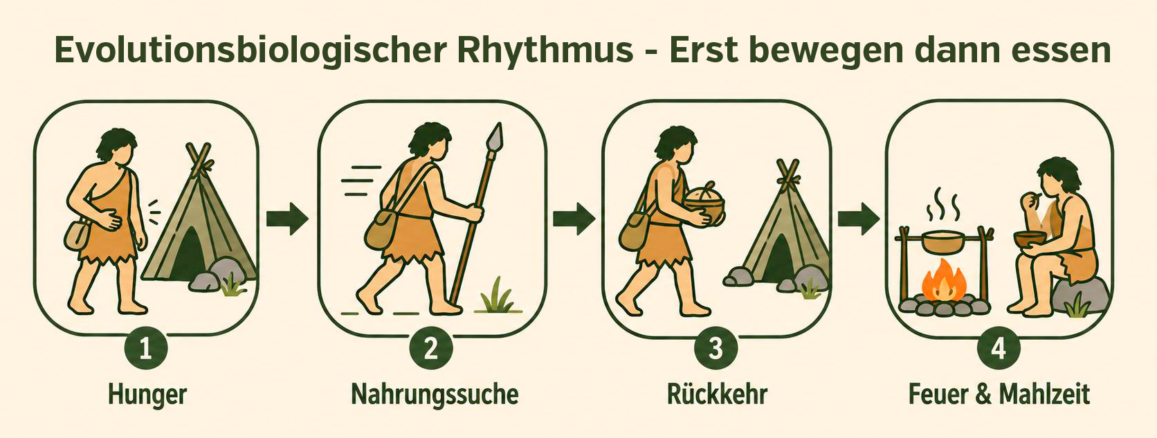 Kroppsrekomposition – evolutionsbiologisk rytm