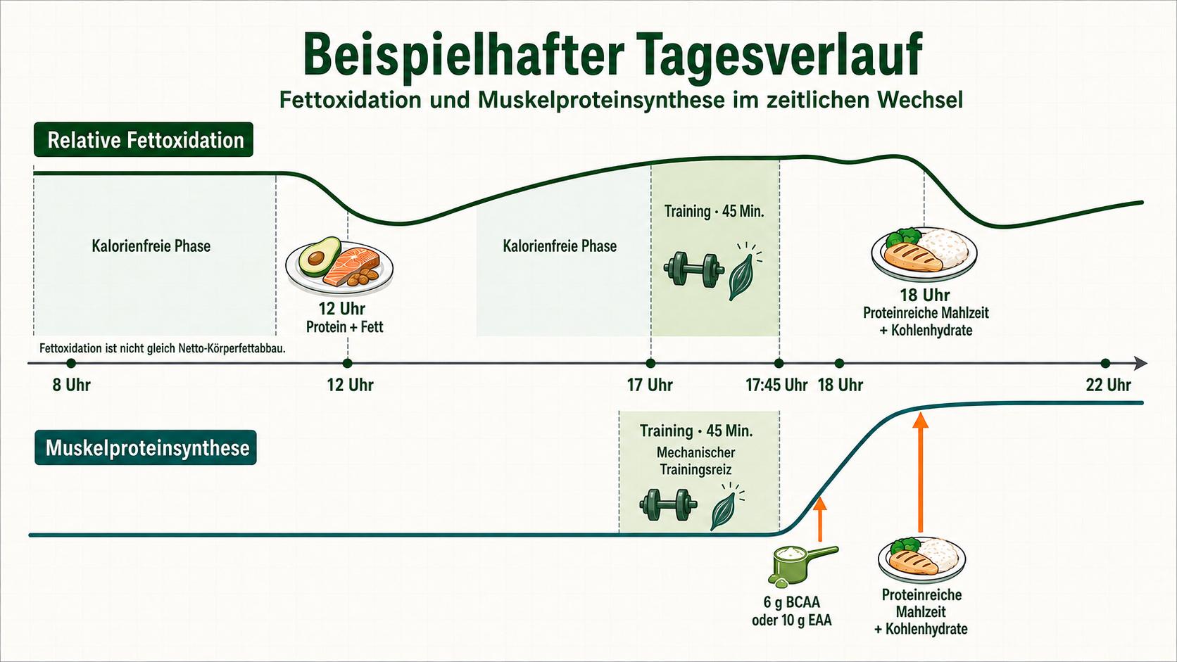 Body recomposition – exempel på dagsupplägg