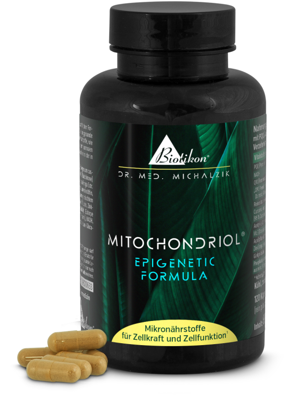 Schwarze Flasche mit 120 Kapseln, Mitochondriol, grüne Blätter im Hintergrund.