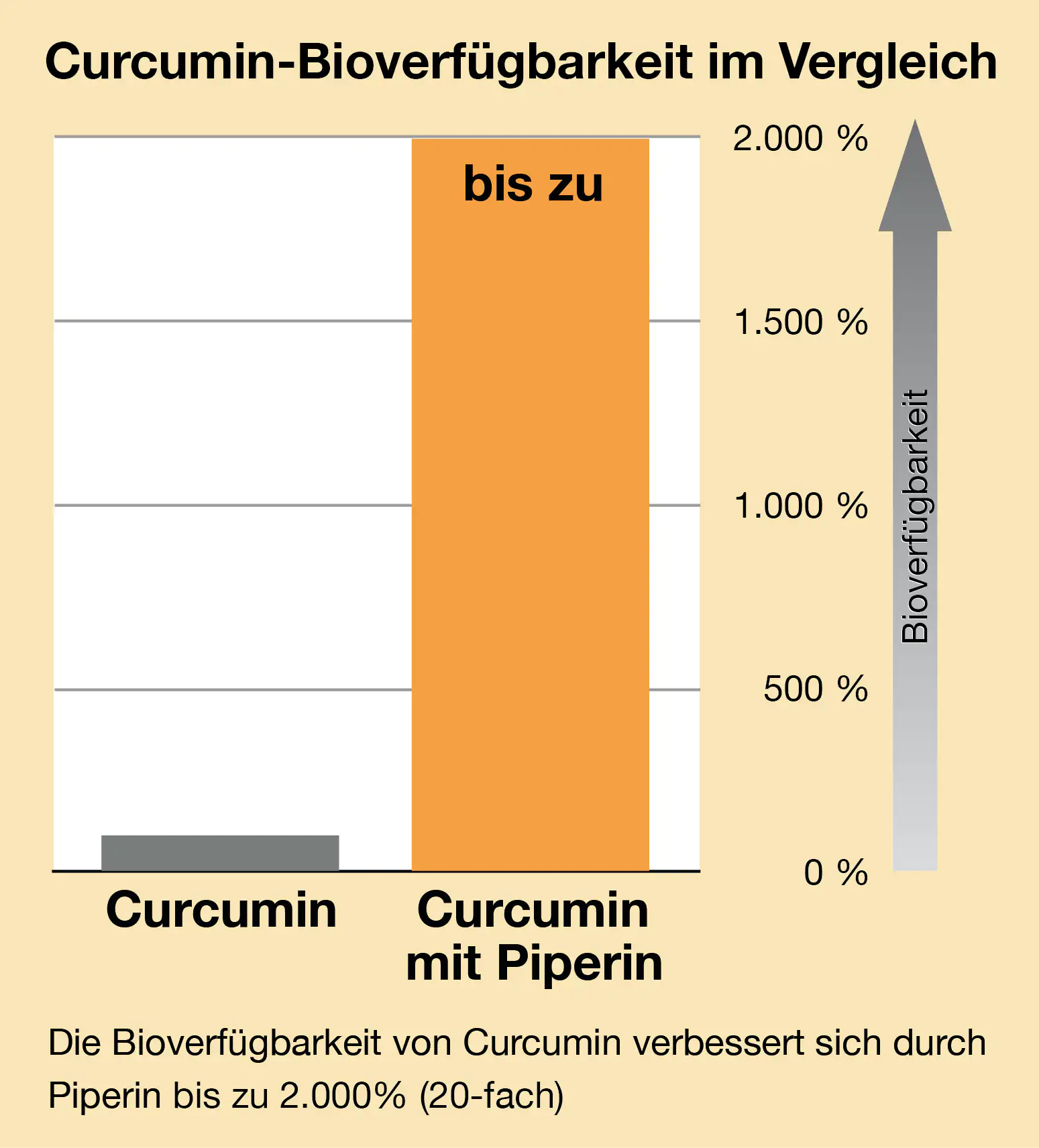 Grafik zur Bioverfügbarkeit von Curcumin mit und ohne Piperin, Vergleich von bis zu 2000%.