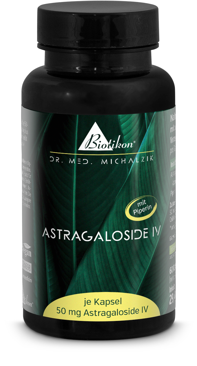 Astragaloside IV 60 Kapseln – hochkonzentriertes Pulver Flasche mit 60 Kapseln Astragaloside IV, beige Kapseln, Vorderansicht, inklusive lose Kapseln auf dem Tisch.