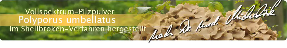 Polyporus nach Dr. med. Michalzik