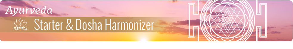 Startpaket + Dosha-harmonisator