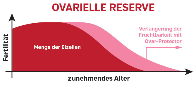 Illustration der ovarielle Reserve, zeigt die Menge der Eizellen im Verhältnis zum zunehmenden Alter, mit Hinweisen zur Verlängerung der Fruchtbarkeit.