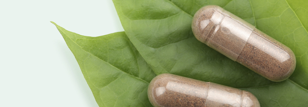 Zwei transparente Kapseln mit braunem Inhalt auf grünen Blättern, Nahaufnahme