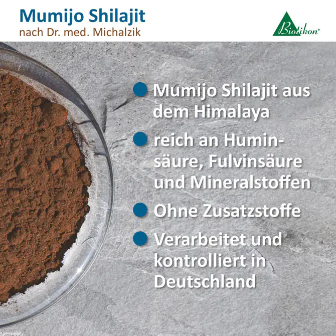 Mumijo Shilajit in einer Schale, braunes Pulver, feine Konsistenz, auf grauem Untergrund.