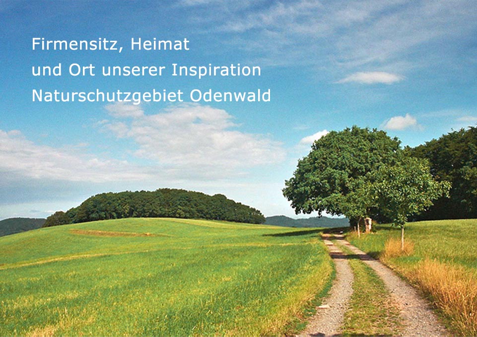 Blick auf eine grüne Hügellandschaft im Naturschutzgebiet Odenwald, geteerte Straße, blauer Himmel.